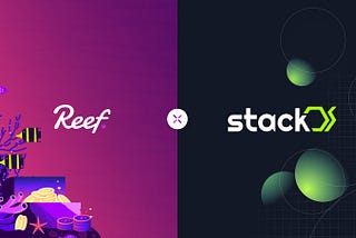 DeCloud Protocol, StackOS to Host dApps Building on Reef!