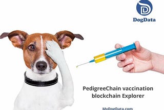 DogData — Blockchain Pertama Untuk Data Kehidupan Anjing