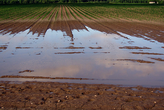 Juillet 2021 : la pluie a gagné le match face au soleil