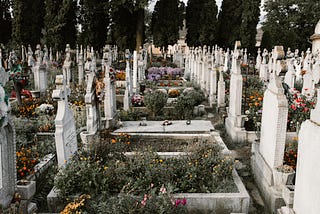 Cemetery with flowers and weeds overgrowing above graves