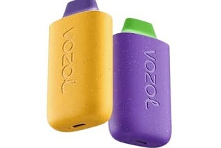 Exploring the Convenience and Flavorful Experience of Vozol Star Disposable Vapes