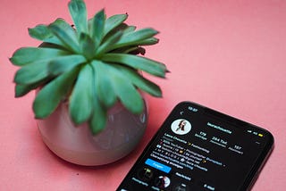 A succulent with smartphone showing Instagram profile