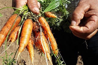 Cambio de Era: Para financiar la Regeneración hay que aprender a Amar como la Tierra nos ha Amado.