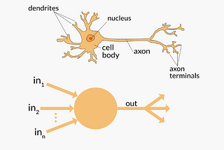 How to build a basic Neural Network.