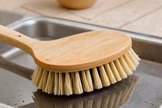 Dish-Brush-1