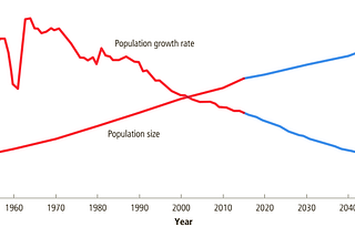 Weekly Blog for Class 9: How Does Urbanization Affect the Environment?