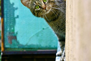 8 Brilliant Reddit Jokes That Got Buried by the Algorithm