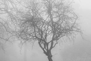 Suffering Through The Four Year SAD (Seasonal Affective Disorder)