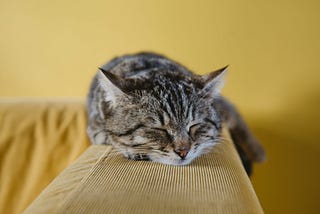 Why You Can’t Fall Asleep On Time