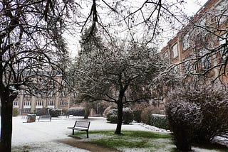 FOSDEM 2019 — Where Passion Meets Volunteerism