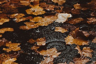 Autumn Heals