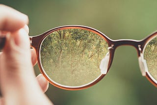 The Lens of Others