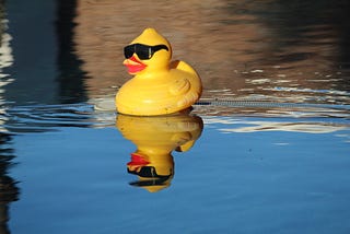 a rubber duck with sunglasses on, sailing through a pond