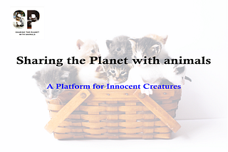 Sharing the planet with animals “Animal rescue Awareness Project”