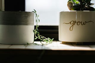 A Fresh Lens for Evaluating Your Writing