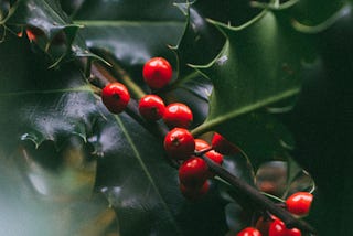 Better Than Gold, Evergreen