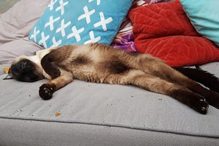 Born to Slay, Too Tired to Move