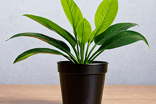 Cheap-Artificial-Plants-1