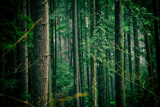 How to Implement Random Forest Regression in PySpark
