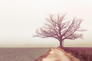 Uma árvore sem folhas.
