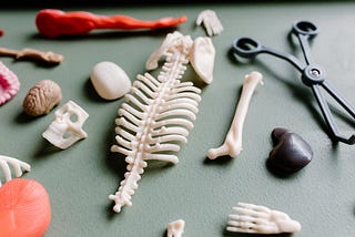 What doesn’t kill you makes you stronger：陳奕迅〈重口味〉、陳健安〈煉獄健身室〉歌詞解讀