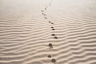 Footsteps in the sand