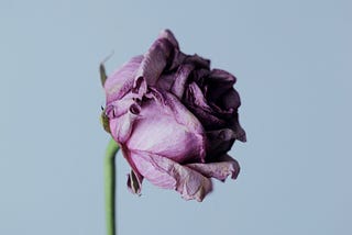 Sorrow and Grief