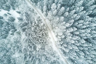 Paving the Path: Advancing Responsible Data Access and Re-Use in 2024