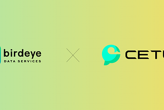 Cetus Protocol Partners with Birdeye Data Services for Accurate Token Data