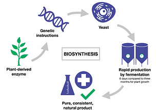 What is biosynthesis and why do we use it?
