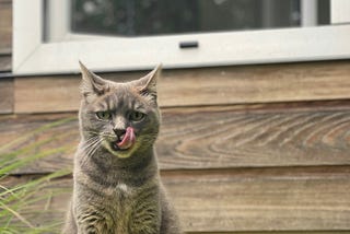 Bringing soft, subtle changes to our lives