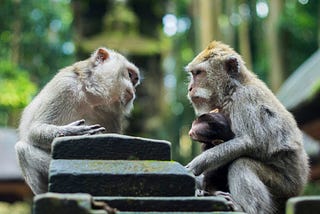 How To Avoid Conflict And Maintain Your Dignity
