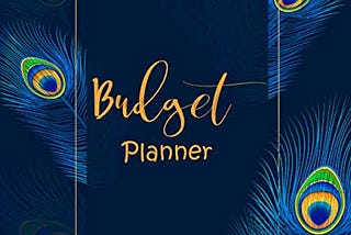 READ [EBOOK EPUB KINDLE PDF] Budget Planner: Weekly and Monthly Financial Planner and Bill Payment…