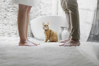 HOW TO FIX A STUCK SEX LIFE? (Part one)