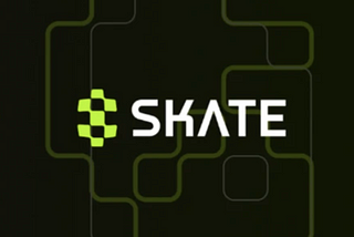 Seed round funding of $3.75 million, zero-stroke NFTs and tokens — Skate