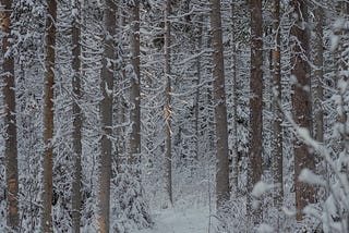 Mastering Peace of Mind: A Simple Technique for Mental Harmony