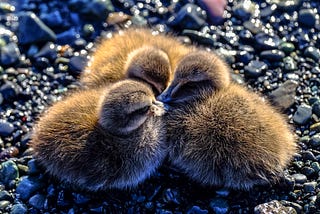 Three Little Stones