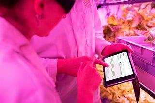 Cellular Agriculture: Das bezahlbare und umweltbewußte Steak