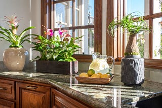 A kitchen countertop displaying two potted flowering plants and one potted indoor tree-like plant. There is a wooden tray with citrus and a pitcher of lemonade. There are windows letting in sunlight.