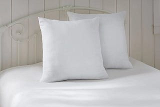brylanehome-euro-pillow-insert-0-white-1