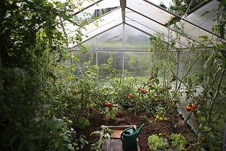 Gardening Improves Mental and Physical Health