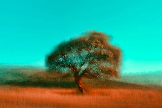The Abstraction Trap: When Hiding Complexity Hinders Understanding and Performance