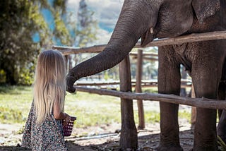 Geri Bildirim Zihniyeti Değişimi: Öğrenme Kültürü İnşaa Etmek