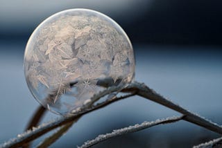 extreme closeup of drop of dew on branch