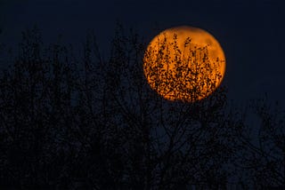 Shades of Halloween