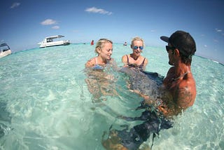 Enjoy the Best of Stingray City with Private Charters