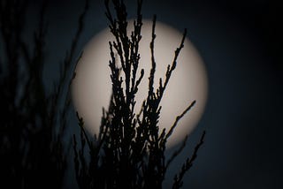 Full Moon in Taurus 13°, November 5, 2025 | Horoscopes for All Signs