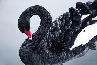 Black Swan