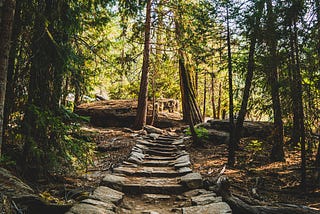 Going for Walks Improves Your Mental Health