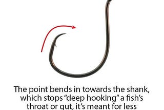 team-catfish-octopus-circle-offset-hook-8-1